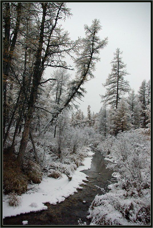 ручей, тайга, зима, приполярье Замерзающий ручей фото превью