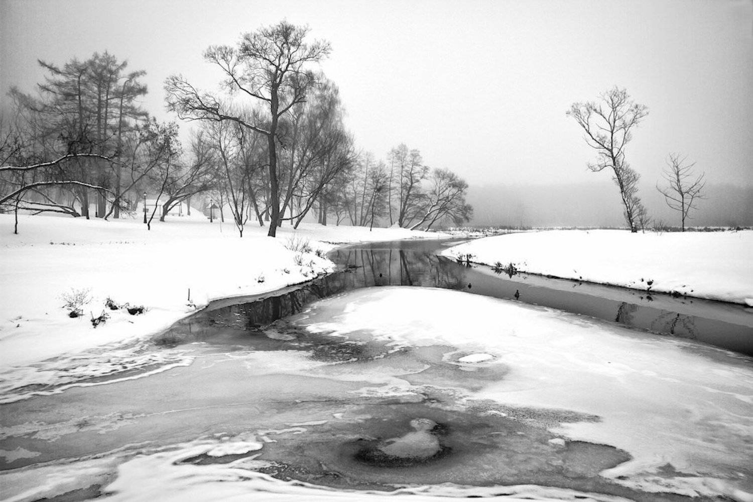 парк, свислоч, лошица, декабрь, 2010, зима, Владимир Водяницкий