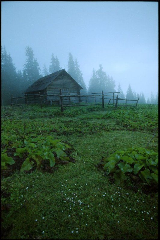 природа, пейзаж, карпаты хатынка фото превью