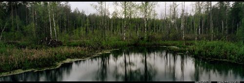 Сестрица Аленушка и братец Иванушка.