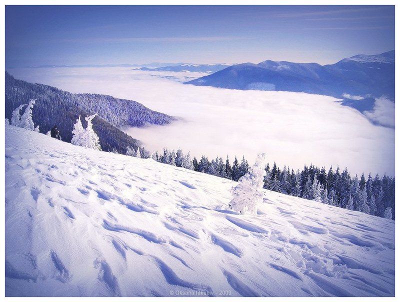 осень, зима, карпаты О рождении сказок фото превью