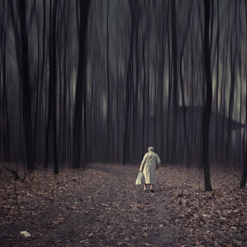 old, woman, forest, tree, leaf, alone, house, Caras Ionut