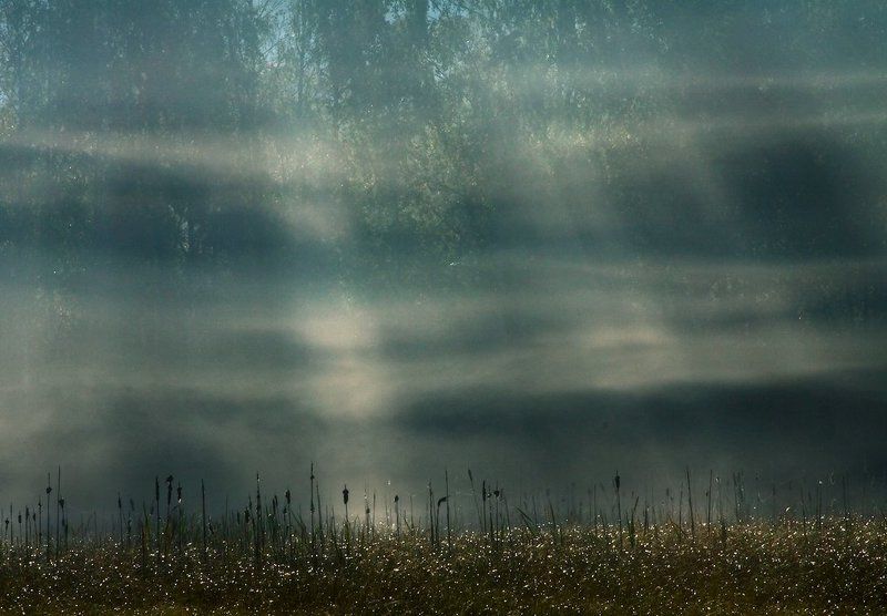 Просто Туман... фото превью