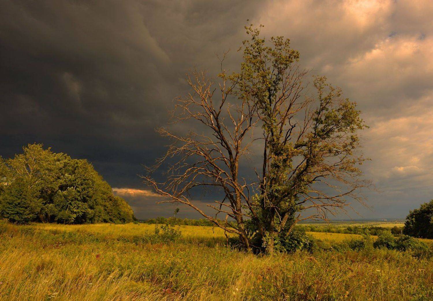 , Андрей Балабин