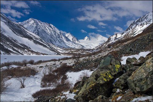 Три родственника)