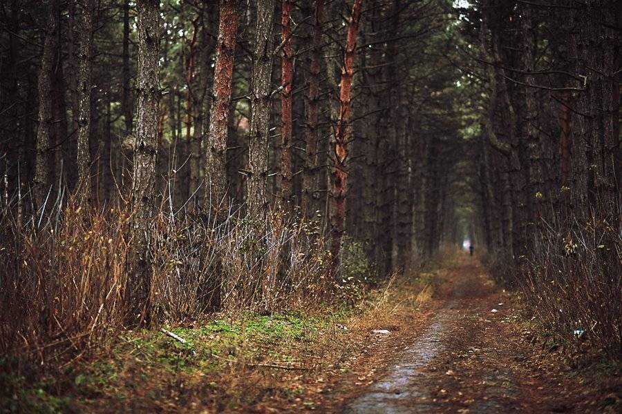 , Сергей Кобылько