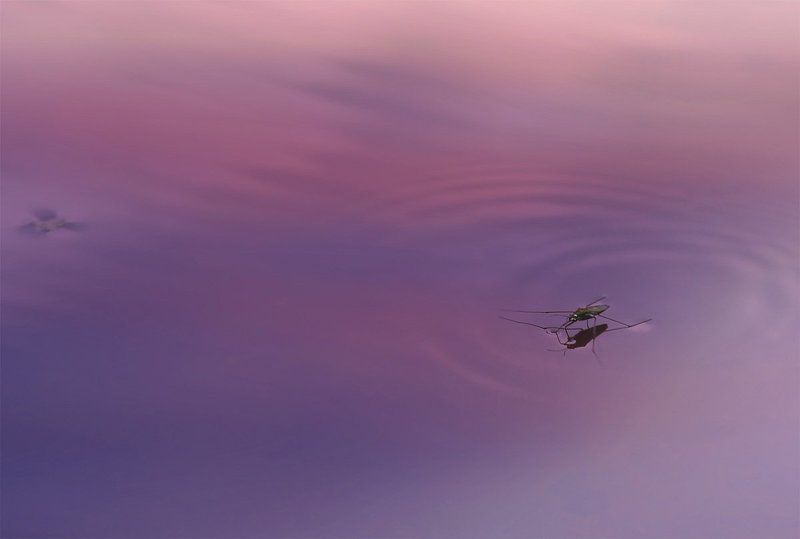 Вечер на реке фото превью