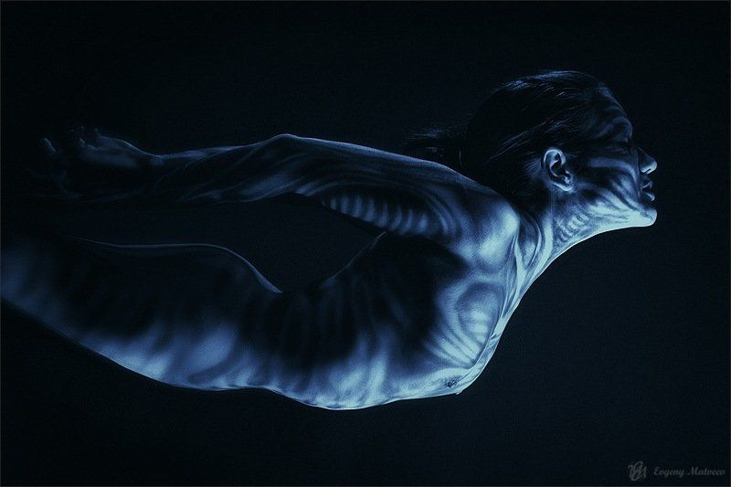 евгений, матвеев * фото превью