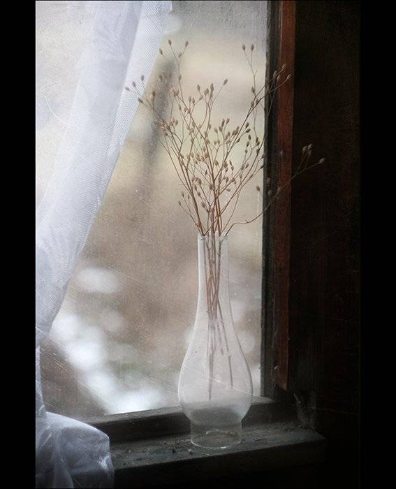 , Svoboda Andreeva