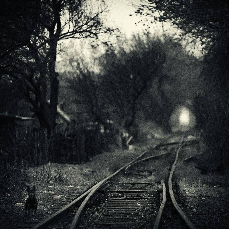 , Сергей Кобылько