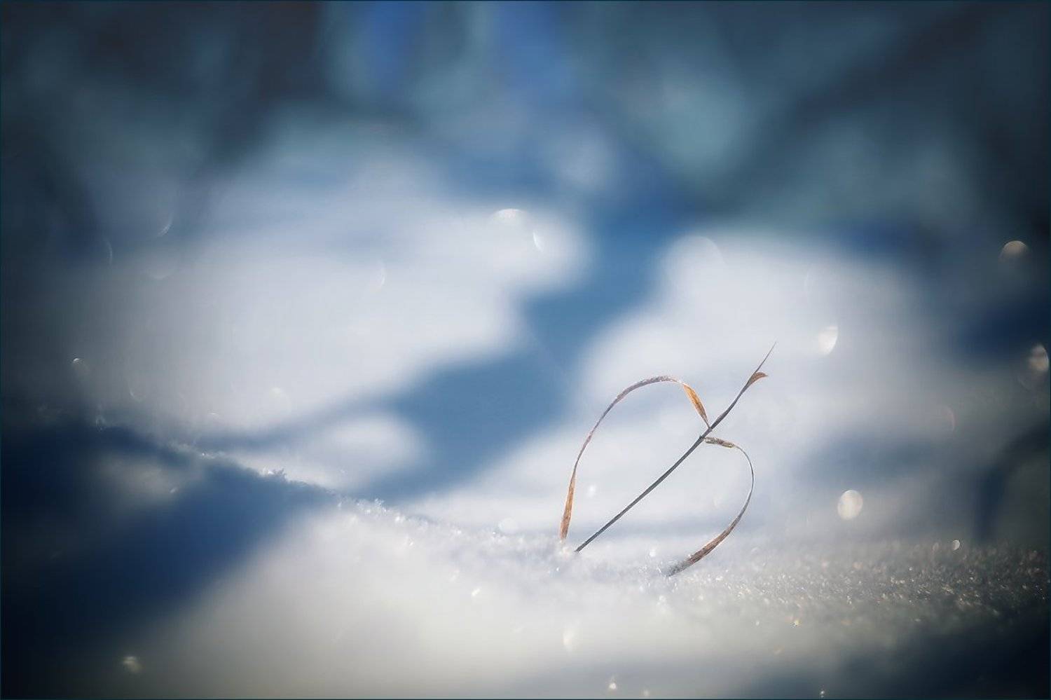 , Суханов Дмитрий