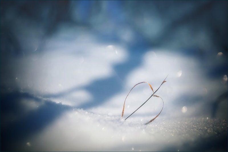 Заснеженные чувства фото превью