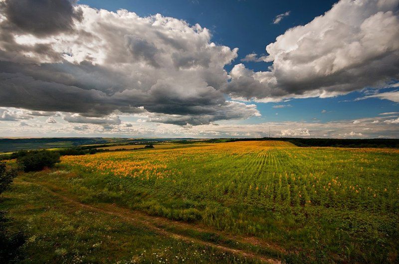 *** фото превью