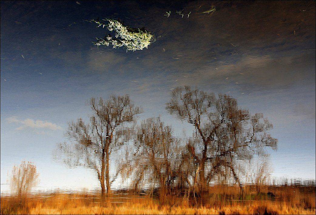 река, москва, птица, или, крокодил, Тарасов Алексей