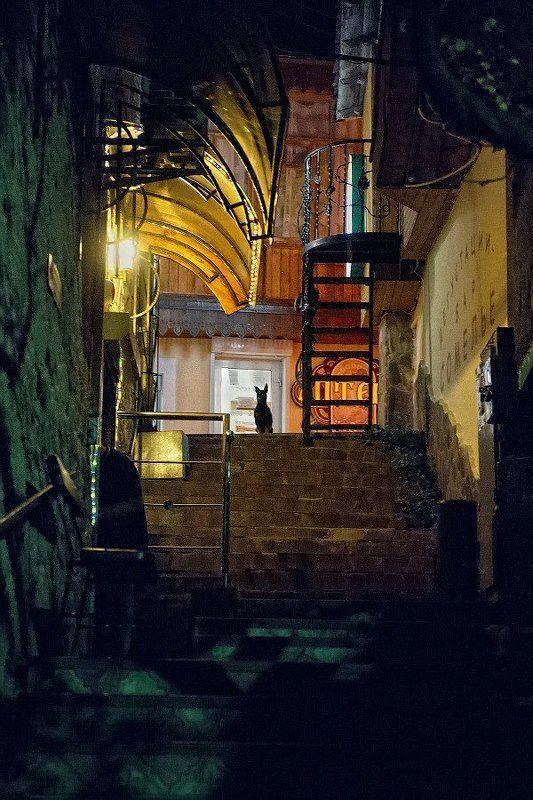 ночной Гурзуф фото превью