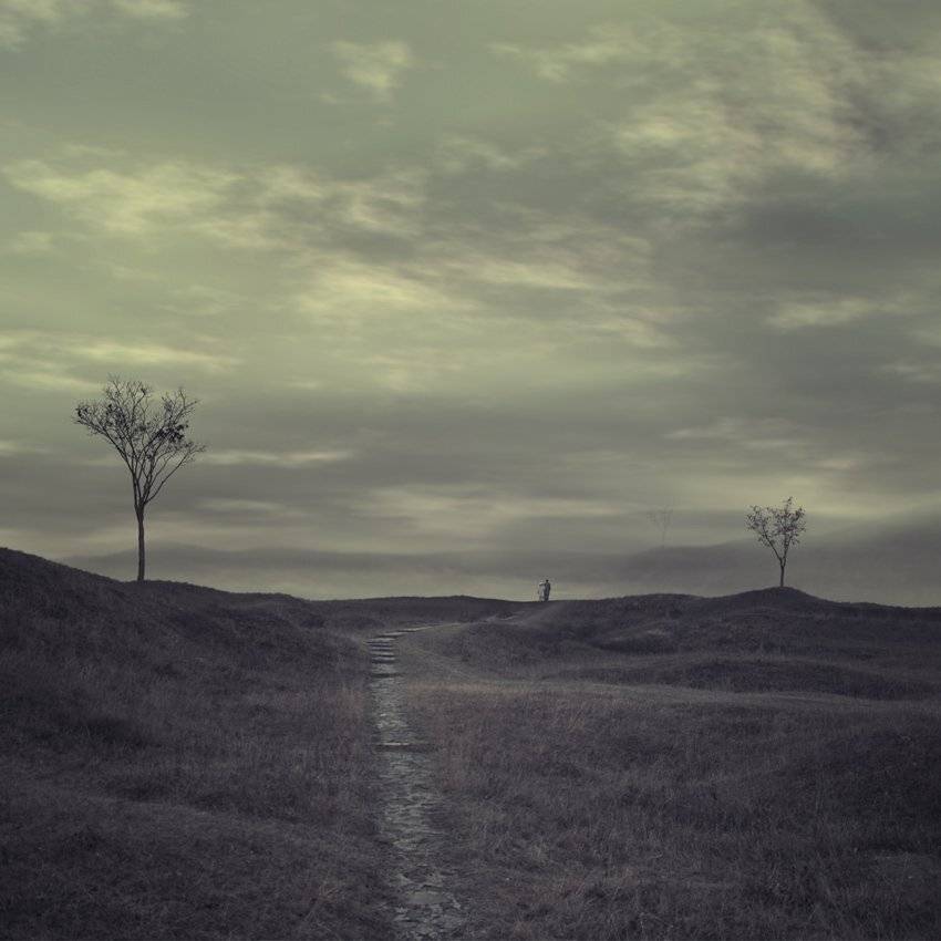 tree, ground, alone, tree, sky, top, clouds, Caras Ionut