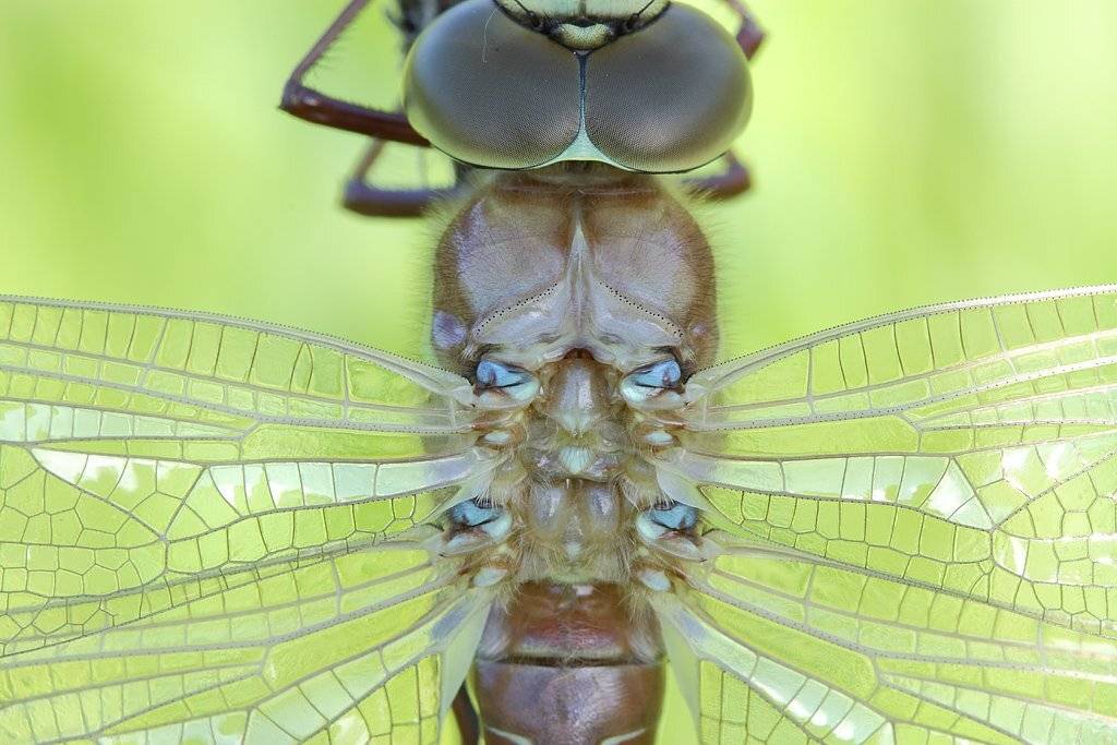 , Сергей Таланов