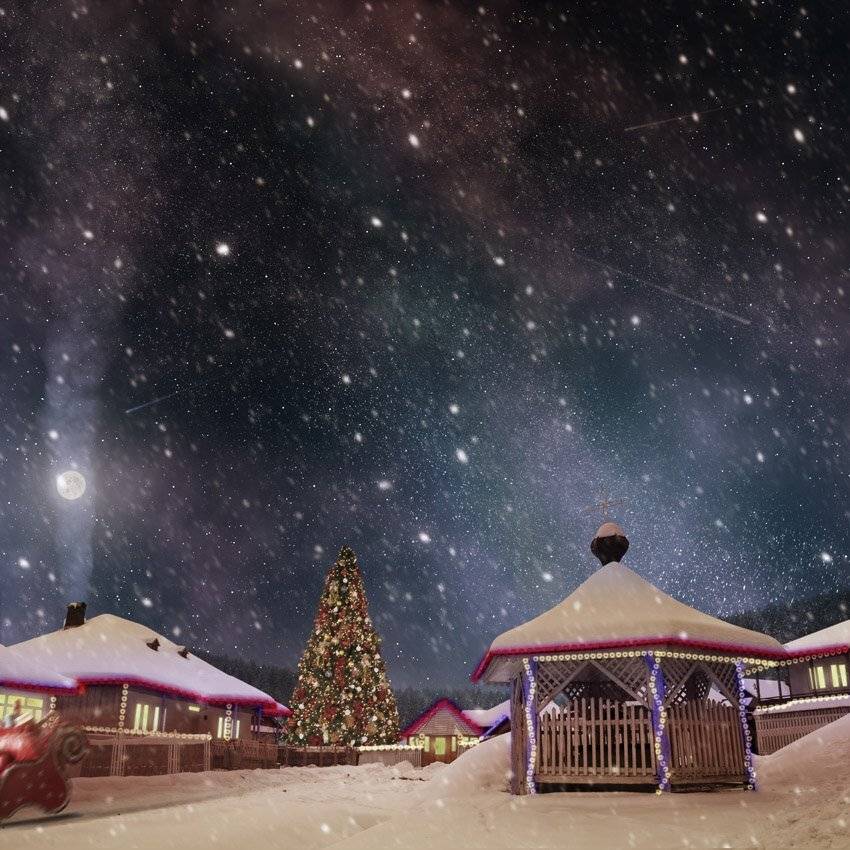 christmas, Caras Ionut