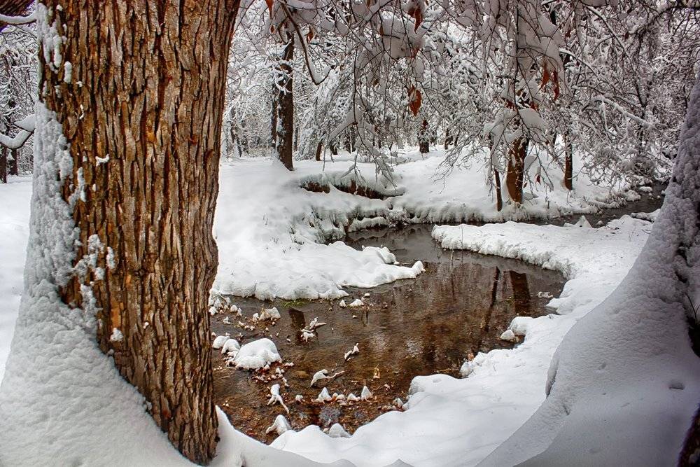 , Элина Магалимова