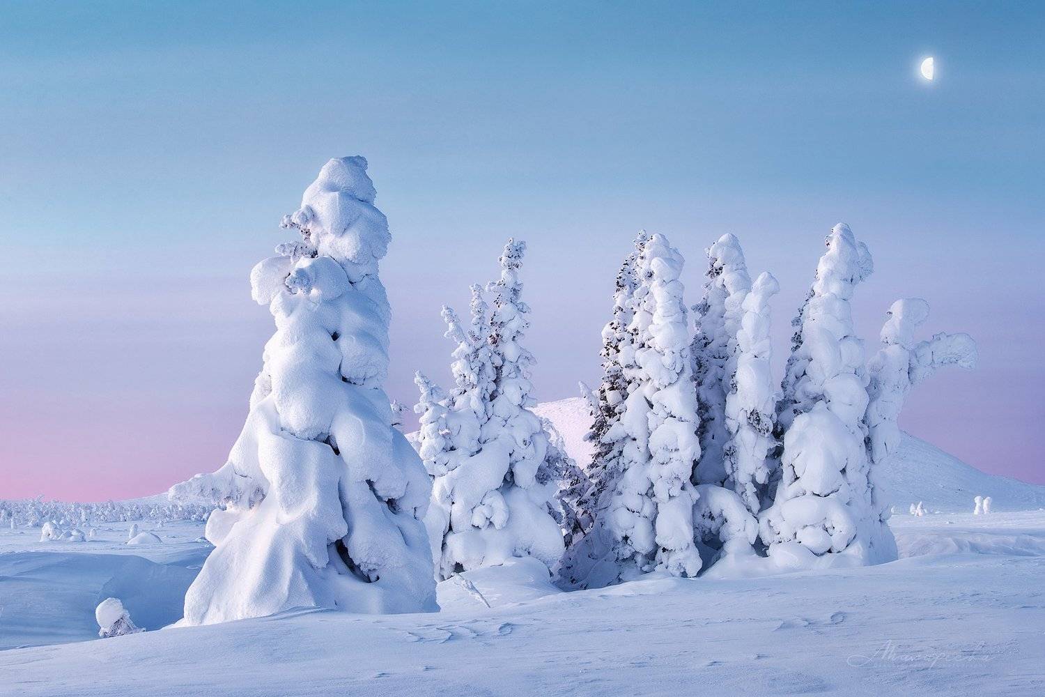 пломбир, зима, урал, гух, главный уральский хребет, пейзаж, рассвет, ель, Малафеева Елена