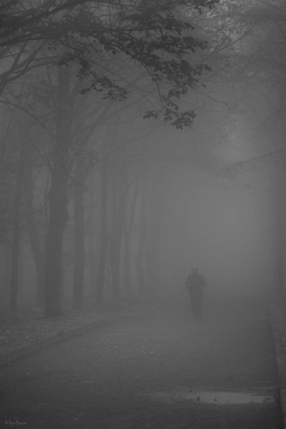 утро, парк, туман, Roma  Chitinskiy