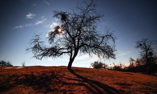 В полнолуние..
