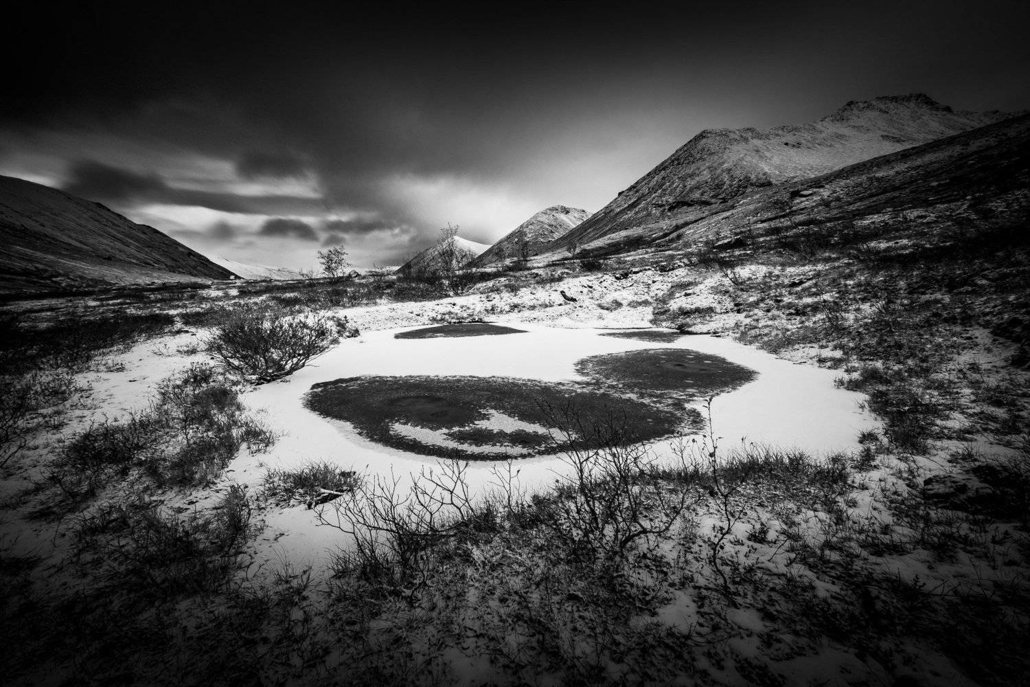 , Антон Денисенко