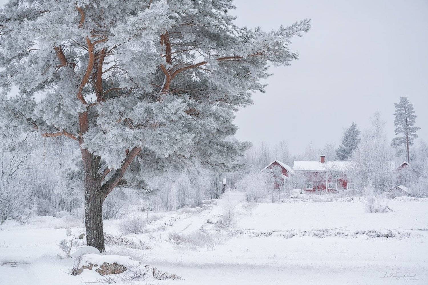 &ldquo;nature does not hurry, yet everything is accomplished.&rdquo;                                                          ~ lao tzu, Ludwig Riml