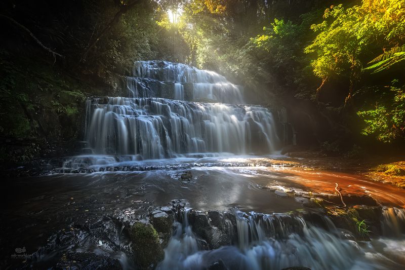Purakanui Fall фото превью