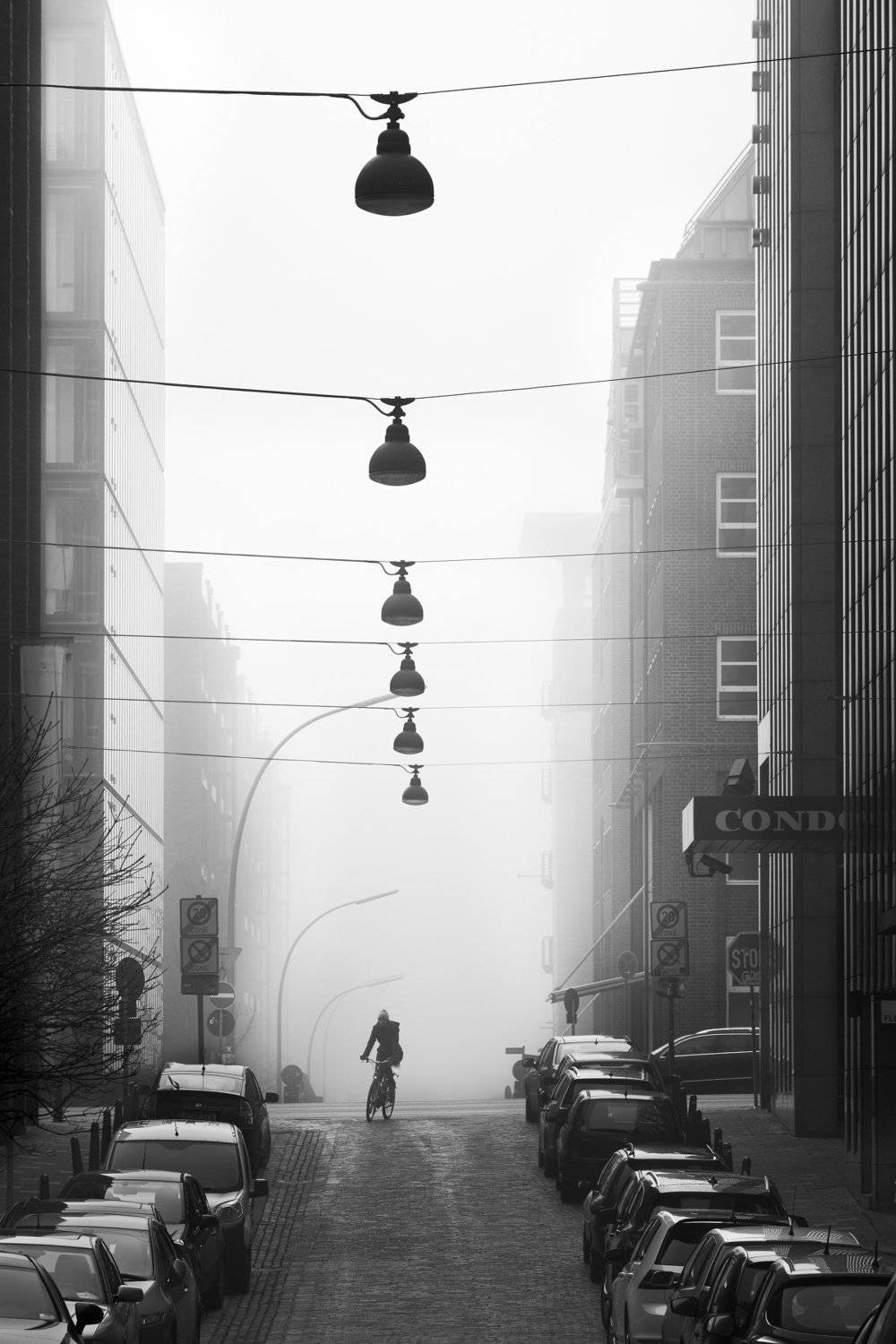 , Alexander Sch&ouml;nberg