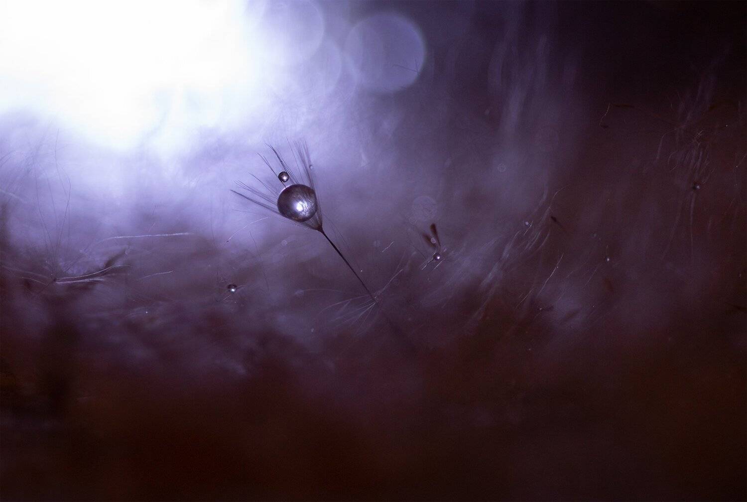 , Людмила Гудина