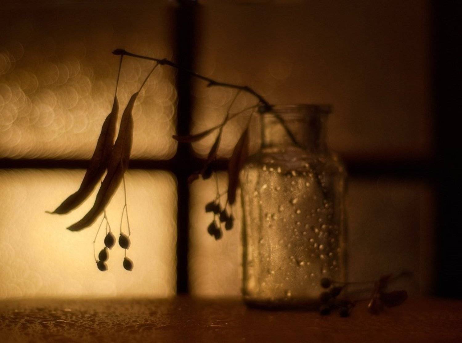 натюрморт,осень, Наталия К