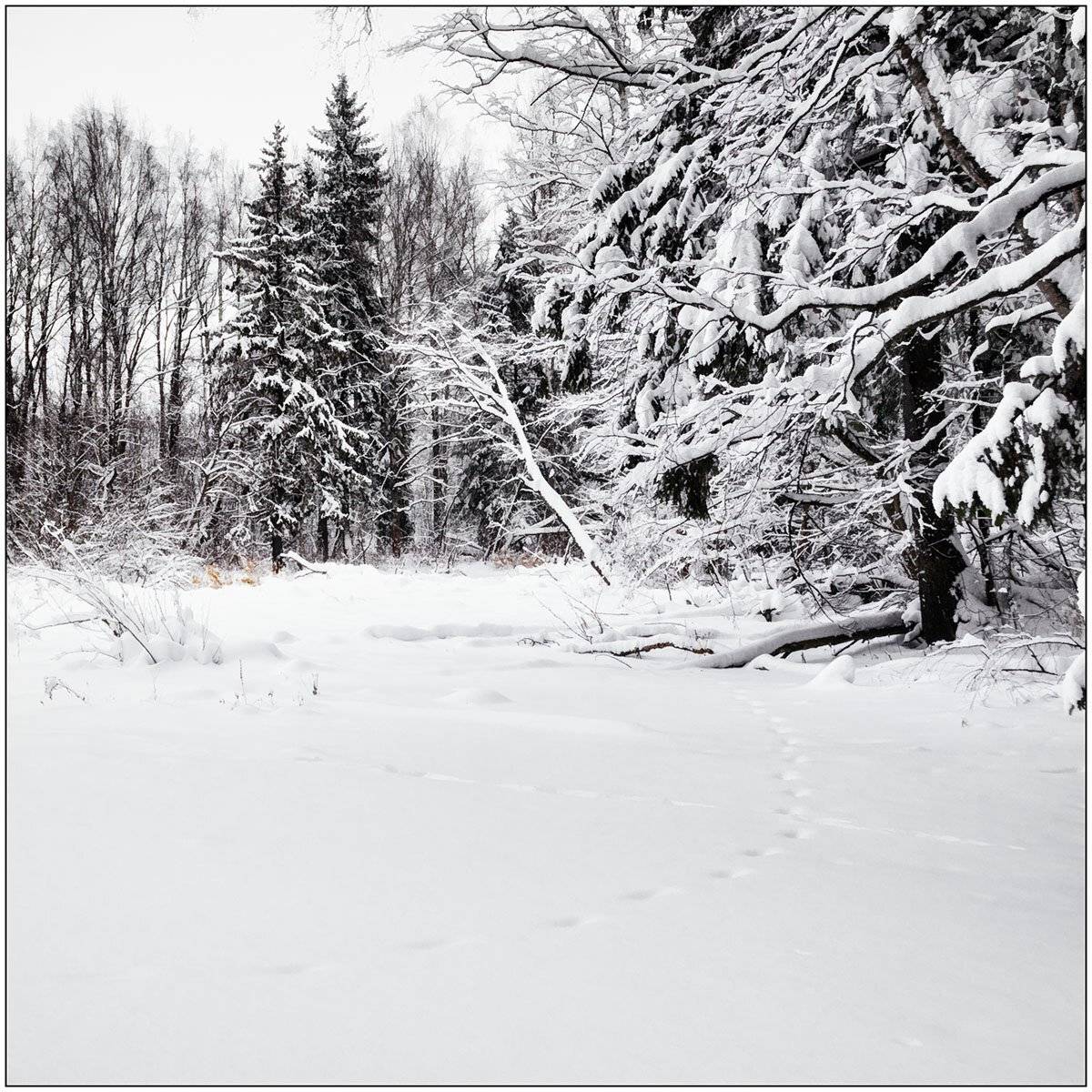 , Алексей Герасимов