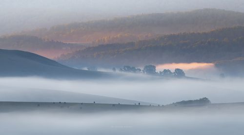 Алтайское утро...