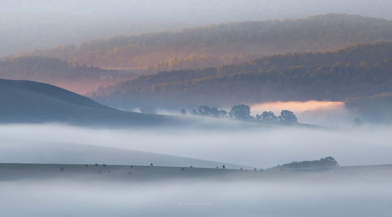 Алтайское утро... фото превью
