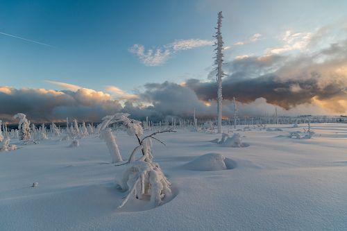 Frozen day