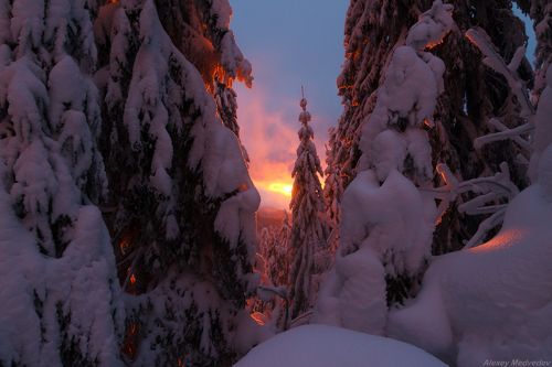 Сказки зимние
