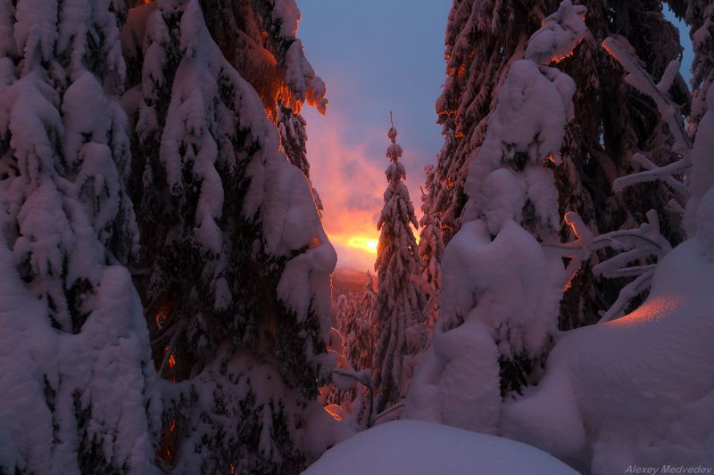 Сказки зимние фото превью