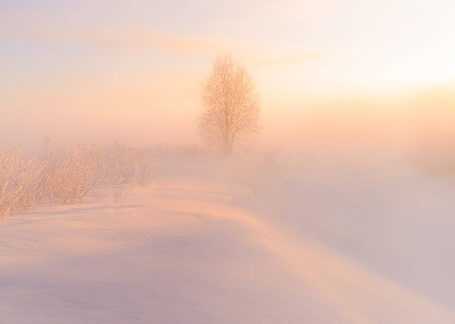 , Евгений Цап