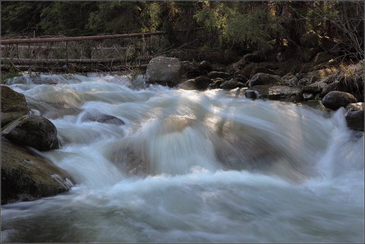 карпаты весна, Михаил (mgk)