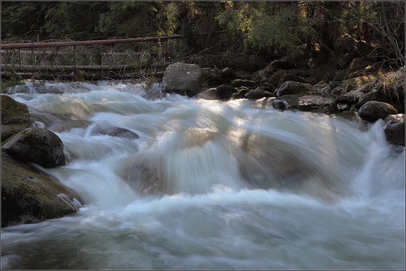карпаты весна Весенний поток фото превью