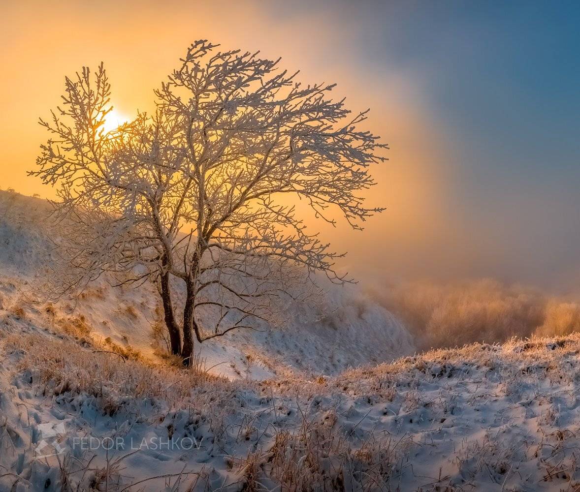 ставропольский край, фотоальбом, ставрополье, зима, иней, гора, брык, закат, дерево, туман, солнце, синей, жёлтый,, Лашков Фёдор