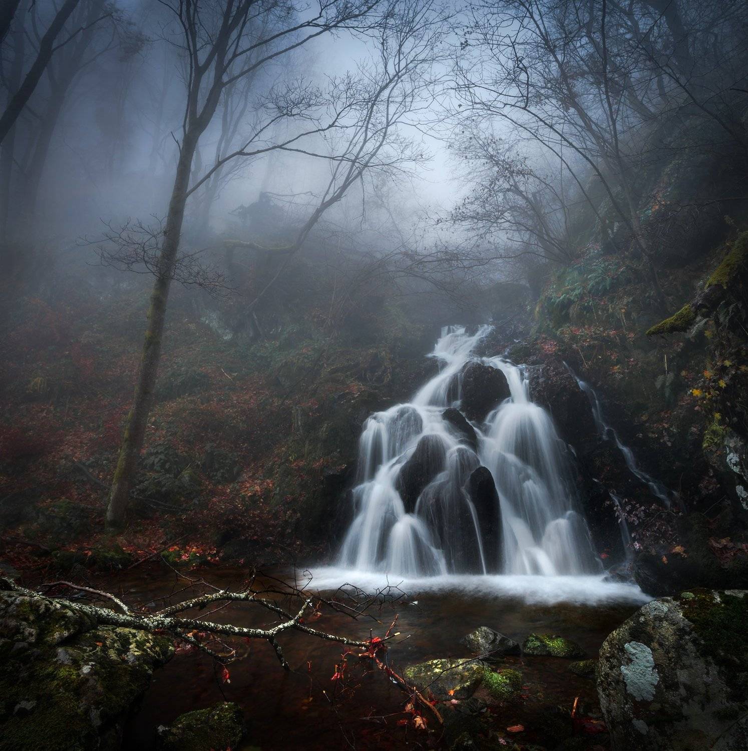 landscape, nature, scenery, forest, wood, autumn, mist, misty, fog, foggy, river, waterfall, longexposure, mountain, vitosha, bulgaria, туман, лес, oсень, Александър Александров