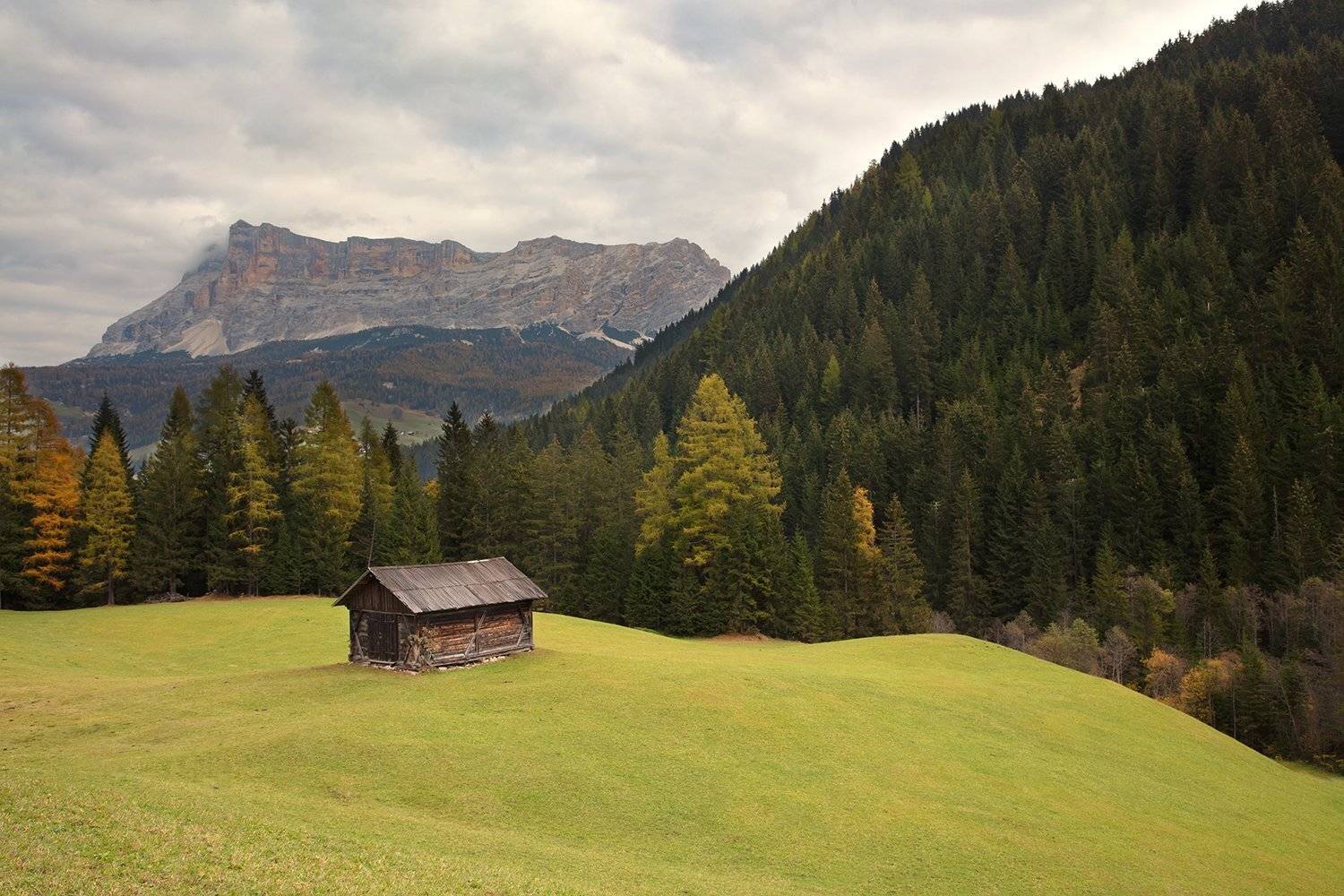 , Игорь Дубровский