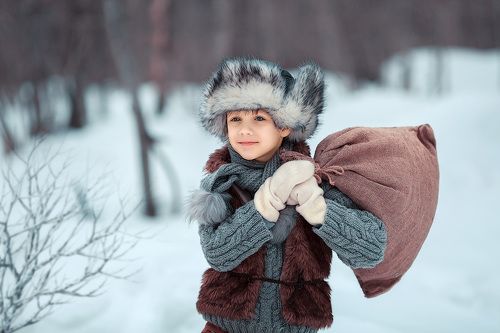 Однажды, в студеную зимнюю пору...