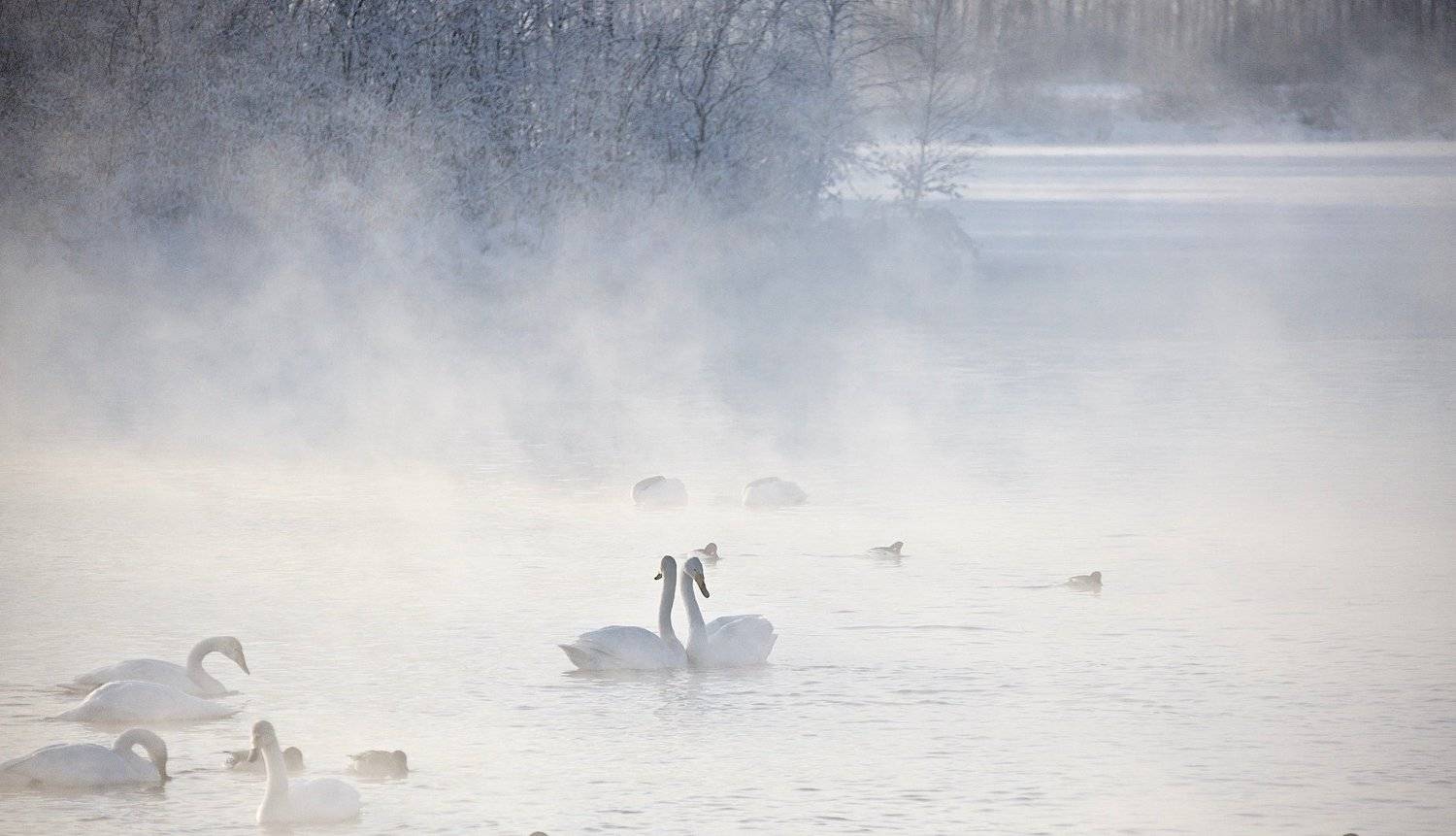 , Мазурин Евгений