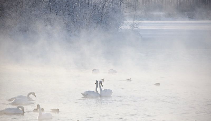 быть может ... фото превью
