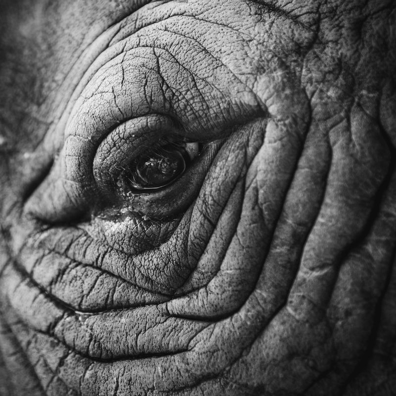 Оценочное портфолио фото превью