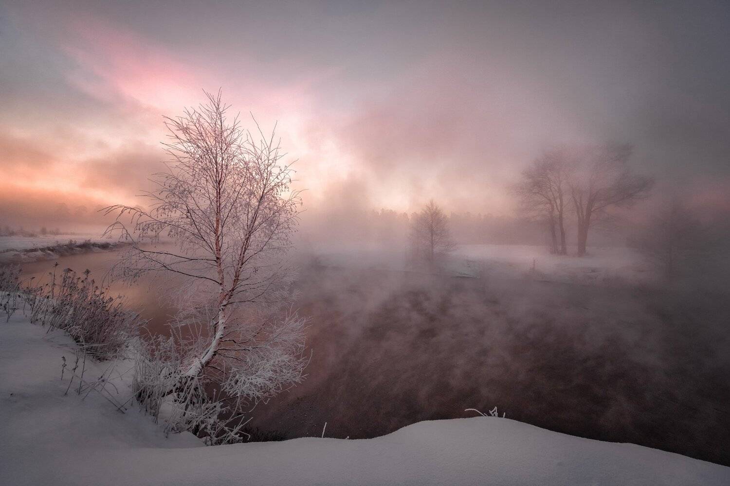 красково, пехорка, пейзаж, утро, туман, рассвет, холод, мороз, снег, солнце, деревья, москва, Андрей Чиж