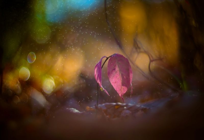 Танцевала в подворотне осень вальс бостон... фото превью